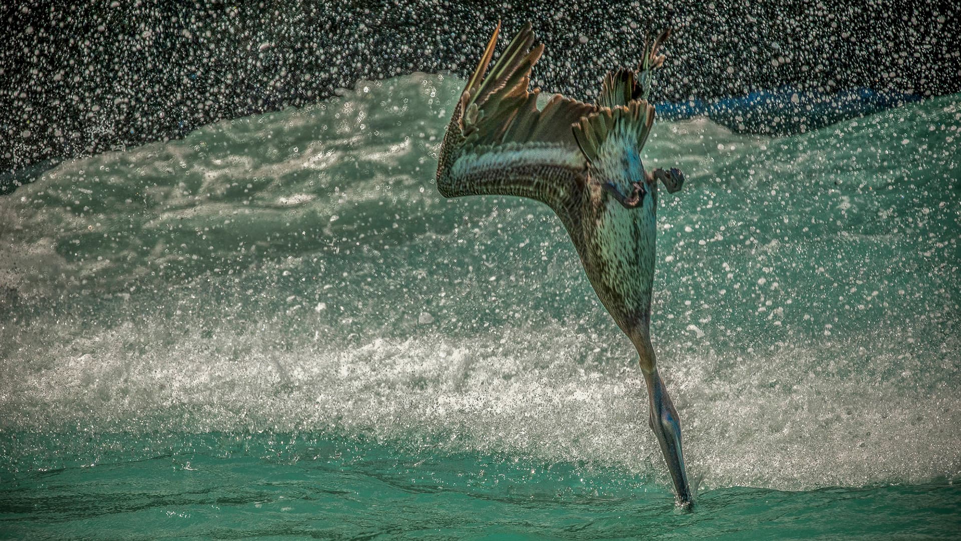 BONAIRE